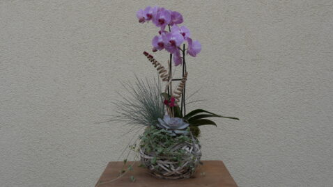 Orchideenschale
