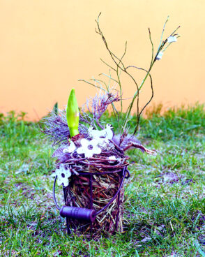 Ostergesteck mit Amaryllis