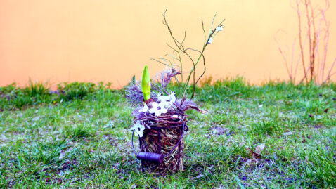 Ostergesteck mit Amaryllis
